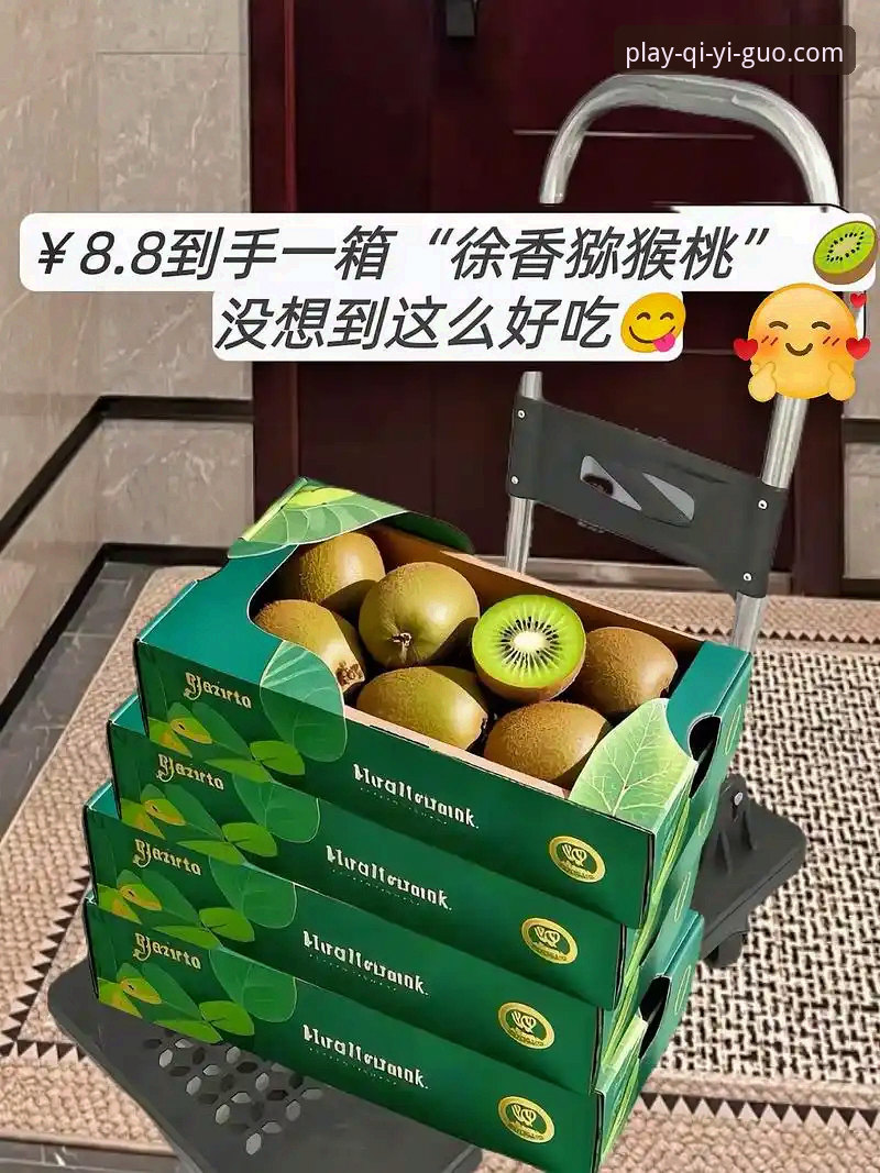 奇异果体育平台2025深度评测：新手入门全攻略与使用体验报告