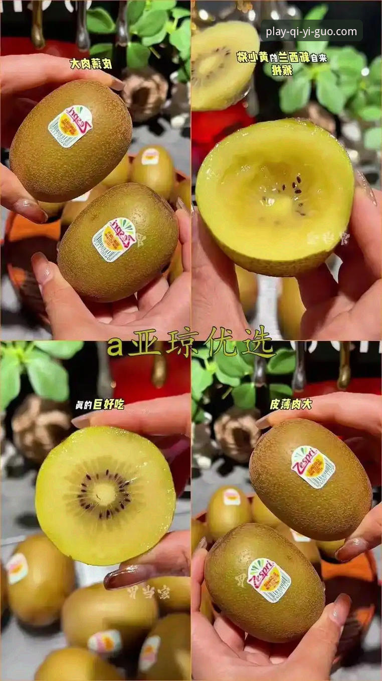奇异果娱乐2025新版与旧版对比：优质体验安装教程让注册流程更高效